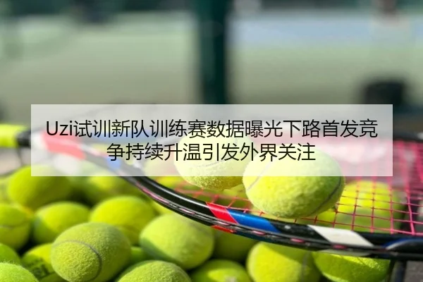 Uzi试训新队训练赛数据曝光下路首发竞争持续升温引发外界关注